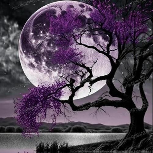 بودی حبس تو سینم مثل سیگارای ته قرمز