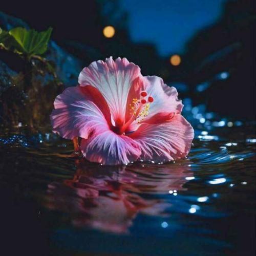 اهورا من فقط رد شده یک لحظه نگاهش کردم