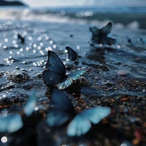 هی ببین خودمو زدم به دیوونگی