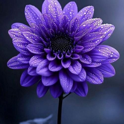  یه روز چشاتو باز کنی میبینی من تموم شدم هوش مصنوعی