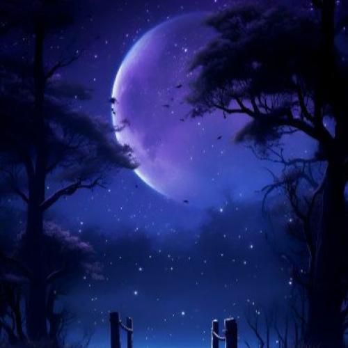  انگار امشب فرشته ها کنار منن که دوست دارم