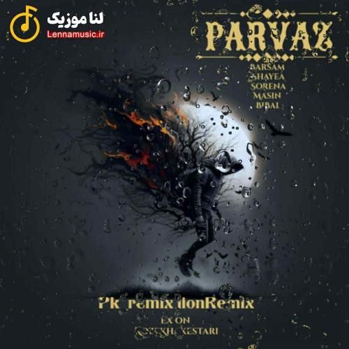 پی کی ریمیکس پرواز