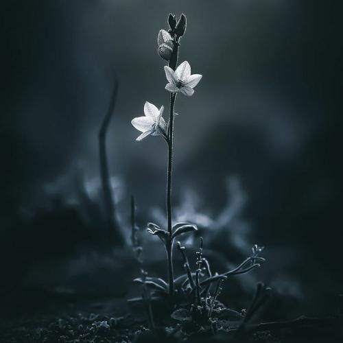  همه بالاخره یه روزی ناامیدت میکنن ترند اینستایی