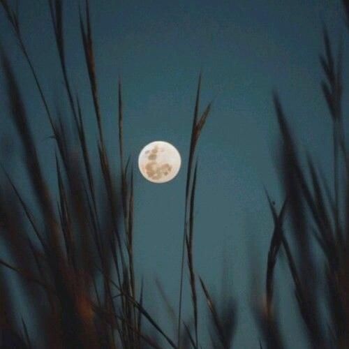  من یه مجنونمو مجنونیم عالمی داره با صدای پسر