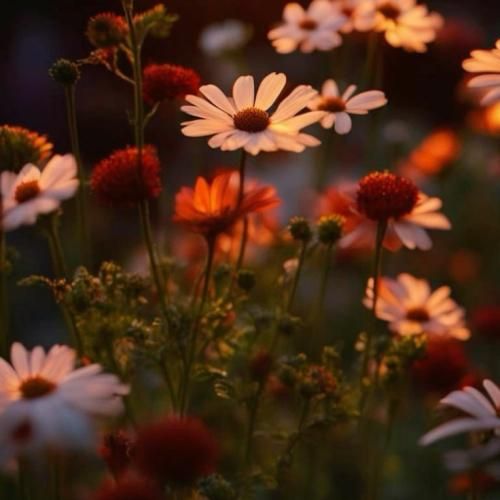 آروم آروم اومدی به دلم نشستی تو منو مثل همه شکستم  با صدای پسر