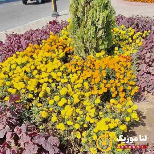 هرجا هستی خوش باشی داداش