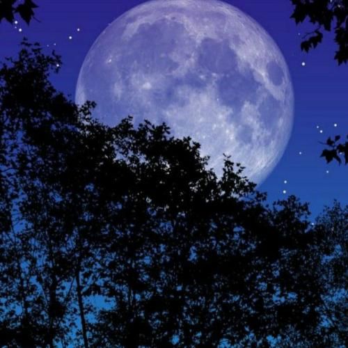 چشاش مث نوره وقتی شب تاره موهاش بلنده