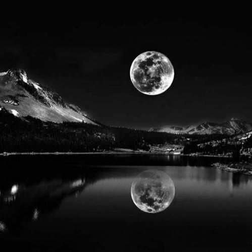 دشمن من شده چون مده یا دنبال تجویز کورتونه