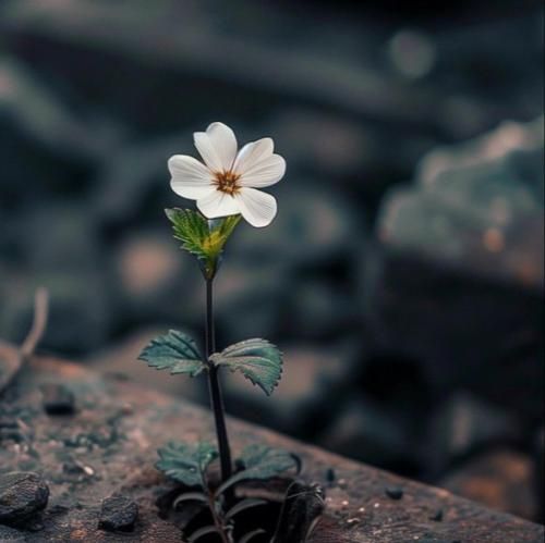 خودت میدونی تو خدامی دلبخوامی با صدای زن