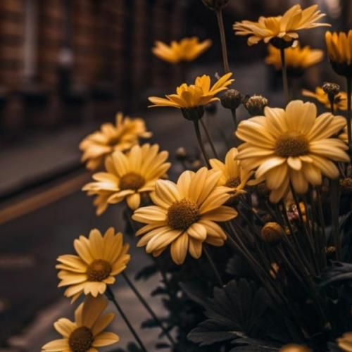 کجای جهانه یار کدوماست بیارش طبیعتو