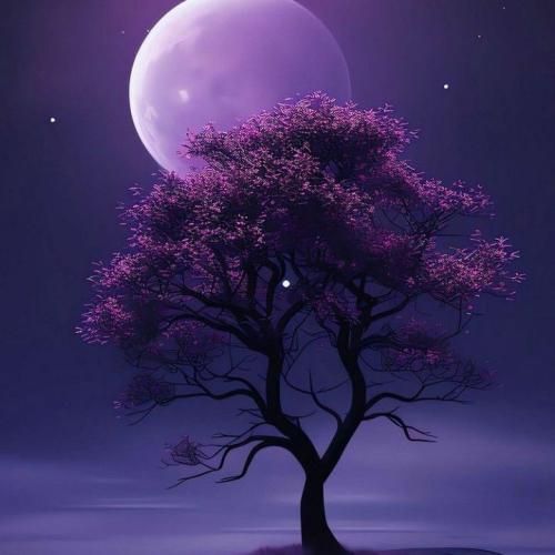  آهای قرینه مشکی گرد چاویلت ای دله کوشتی