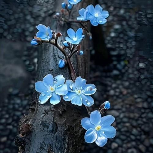  دوستام دیدنت توی دنس فلور ترند اینستایی