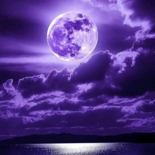 پیر نمیشم باهات پیشمی همرام گیر نمیدم بت