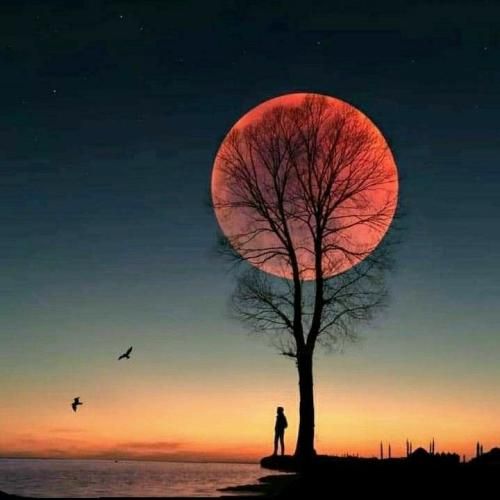  میری میمونه قرصامون حرفا دوتامون دورغه