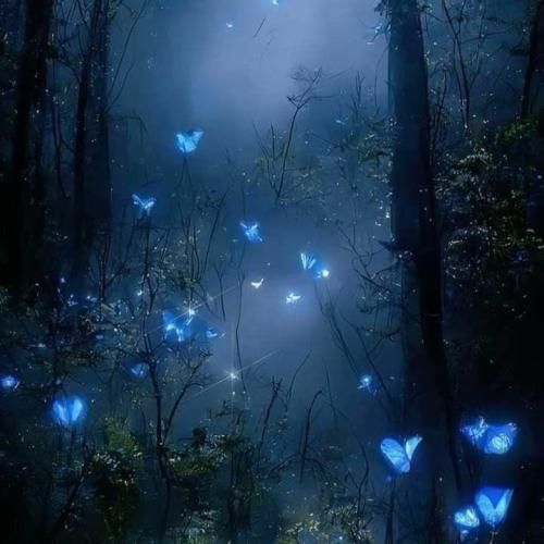  ماشالا بزن با خیزرون ا چلیدن از تو مثل پارک زرون