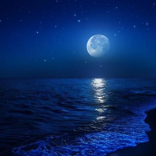  دوست داشتنات فیکن مث فالوورای حسین تهی