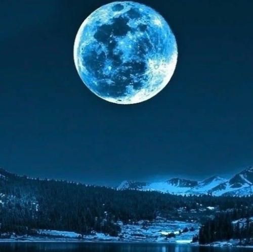  رول میپیچه دنیا برامو لب میده بهم علف