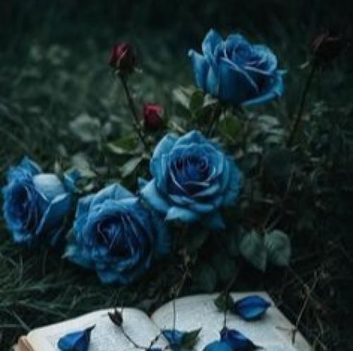  فاطی فاطی نیشانتاشی مست دیدنت