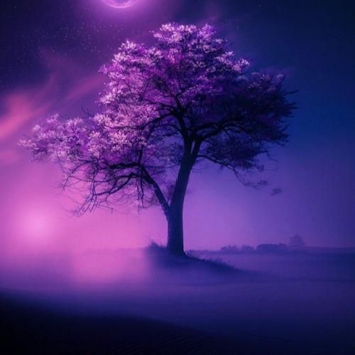  پیدات نی هرچی میگیرمت میگه اشغالی