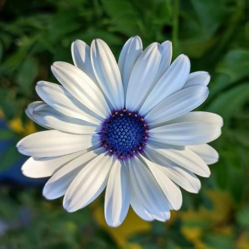 چطوری فقط مرحم درد من ترند اینستایی