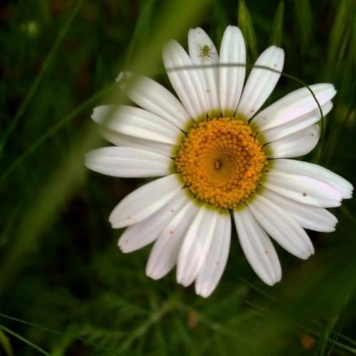  من طاقتم کمه خودت بمون برن همه ترند اینستایی