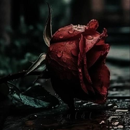  زندگی دو روزه یه روز میشی بازداشت