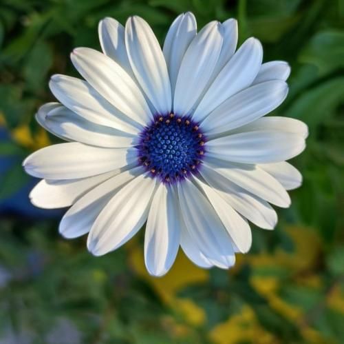  منم آخرین ثانیه آخرین هرم گلویی که باقیه