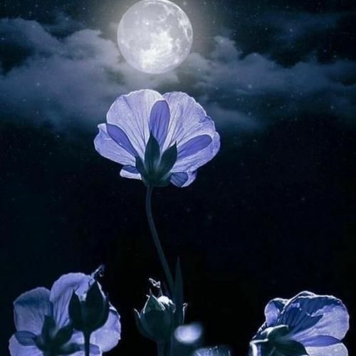  اوف عجب چشایی با تو می ارزه حتی ترند اینستایی