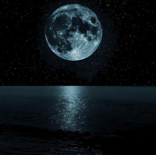 بزنی چاکه چاکه بکشی کل یالله