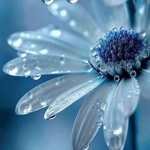 ترکی کوچوم داها چک کوچوم بویوزدن ترند اینستایی