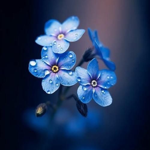 هرجای دنیا رو بگی گشتم نبودی مونده هنوز با صدای زن