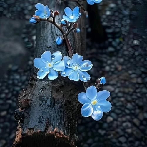  یه روز دیدیم همو اتفاقی شدیم عاشقم هم