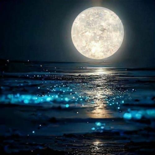 جیمی بیتز تمومش کن