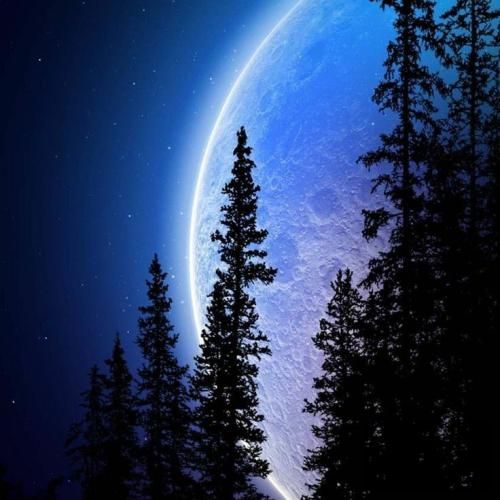 من با همه شرط بستم تا تهشم هستم که مال منی باشیو هوش مصنوعی