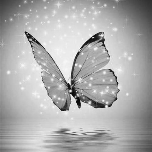 ترکی شاید نه روز درستی نه مکان درستی و نه زمان درستی بود