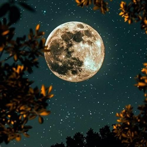 هی تکست نده چطوری بیبی خوب نیستش حالم