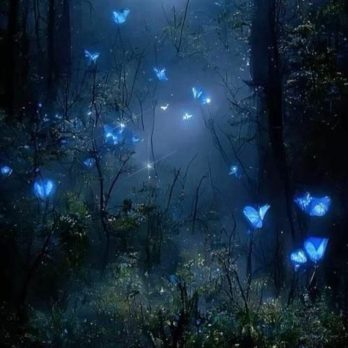  چه چیزی از جیب من درآد به جز کاغذ سفید پاره