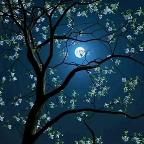  عزیزم آرام باش تو اصلا عادی نیستی میدونم تنگه دلت با صدای دختر اینستایی