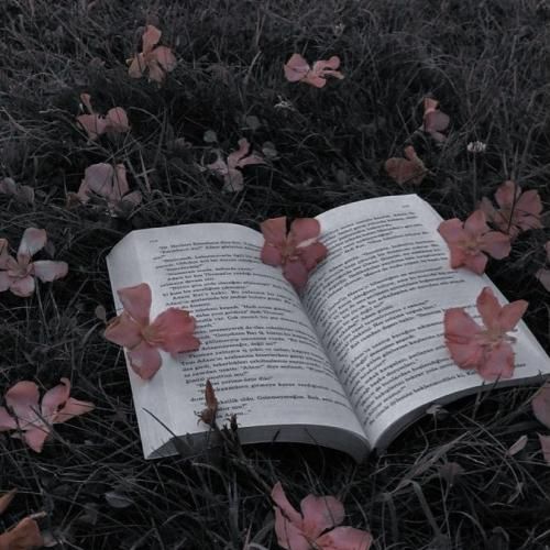  اون که رفته دیگه هیچوقت نمیاد