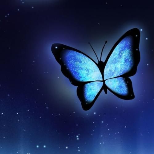  میشه دود از میخونه بلند تو رگا مهمونه سرنگ