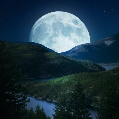  عربی خانم جذاب کاراملی ورژن کامل ترند اینستایی