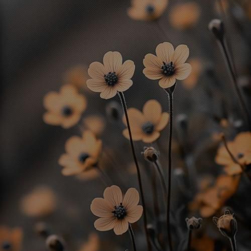 امیر یل مادر