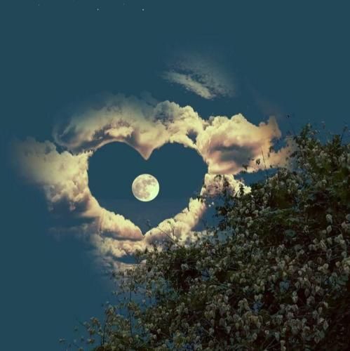  ای همگناه من بی تو پرواز همیشه محکوم به سقوطه با صدای عقیلی