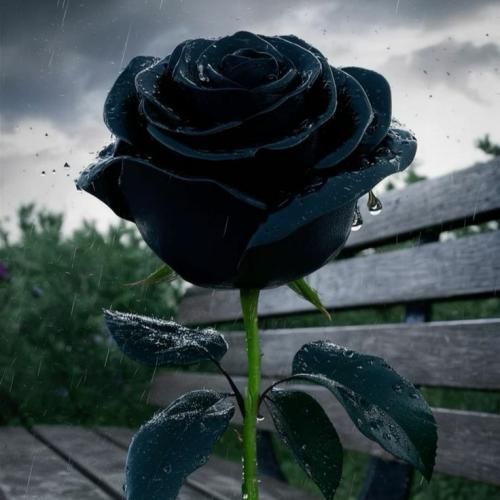 یک به یک دو به دو نکن با من اوضاع