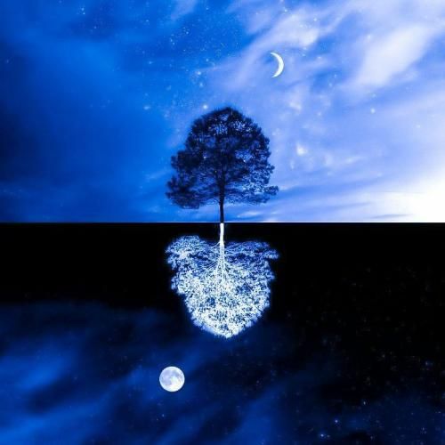  عربی بانوی جذاب کارامی ترند اینستایی