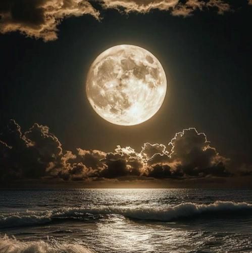  دوستت دارم اونقدر که لنگم باشم واسه تو پول هست