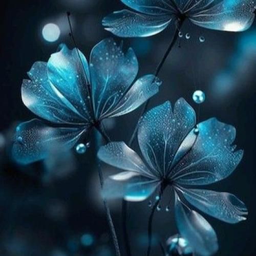 یه گوشه و سرپاس هنوز درخت ارغوانمون