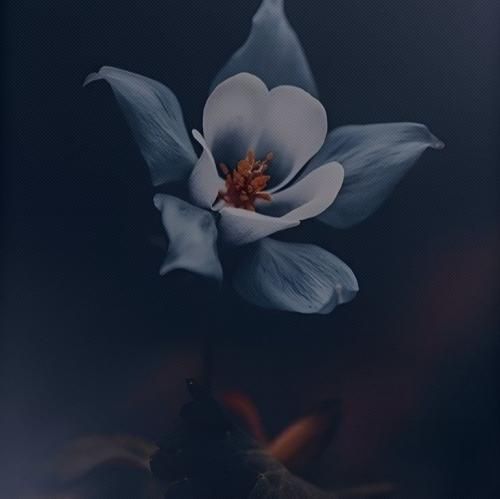  دیدم دیگه ندارم ازت انتظاری زد سیم آخر انتحاری