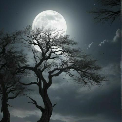 داشی کوکتلو میزنم از کلمن تو رپ گنده شدم