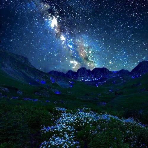  باید تورو پیدا کنم شاید هنوزم دیر نیست هوش مصنوعی 